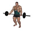 Barbell Curl - Wide Grip Standing